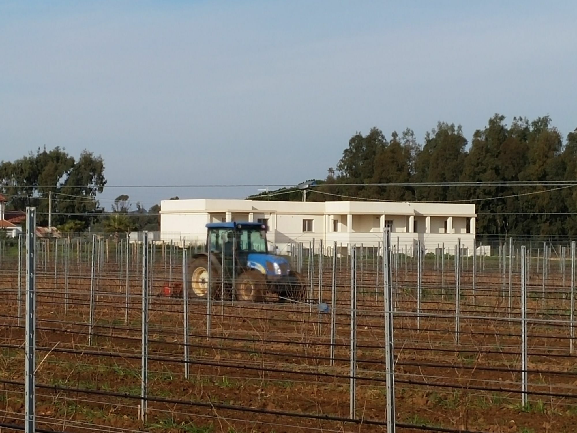 Maris Villa Alghero Exteriör bild